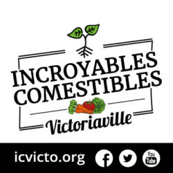 logo-ic-victo_400x400